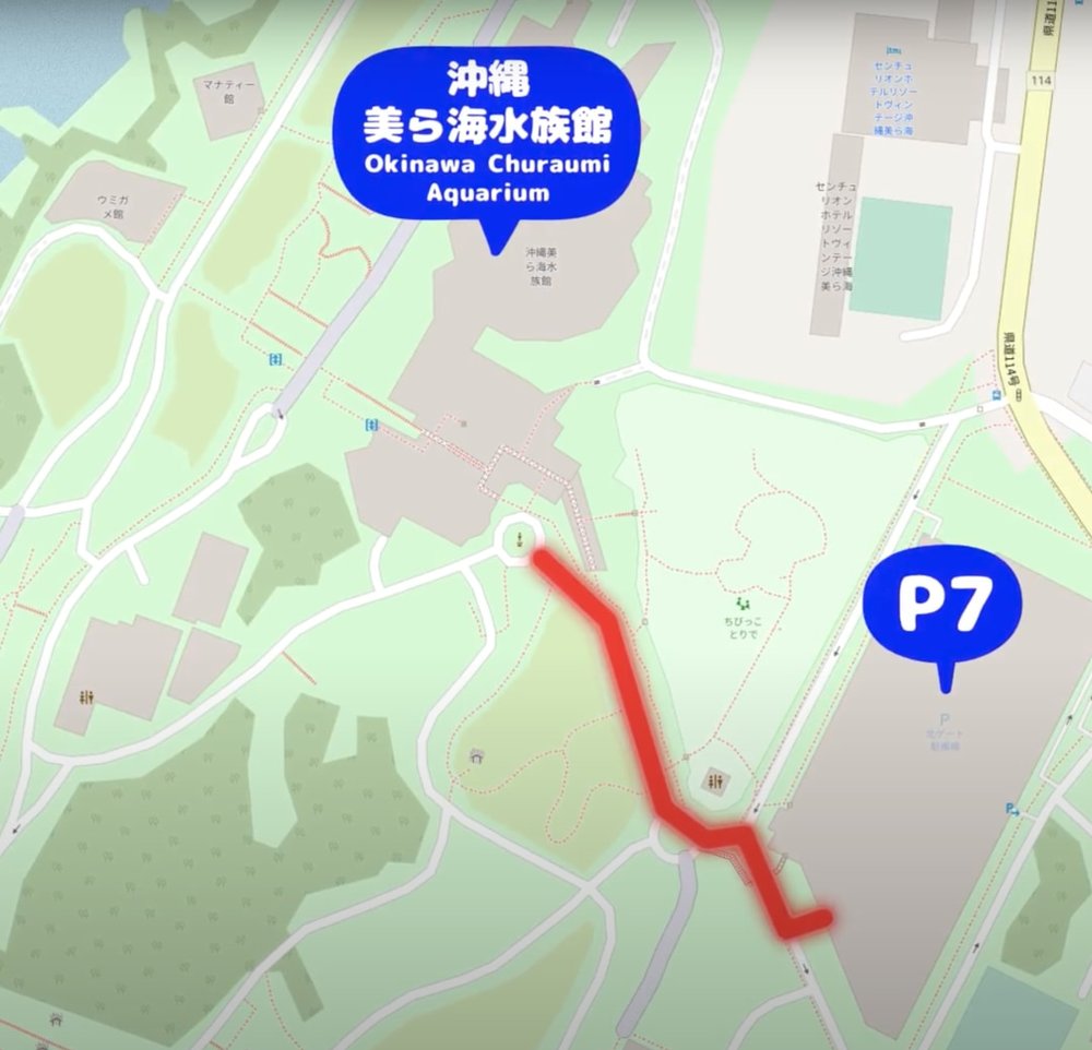 Okirip 美ら海水族館