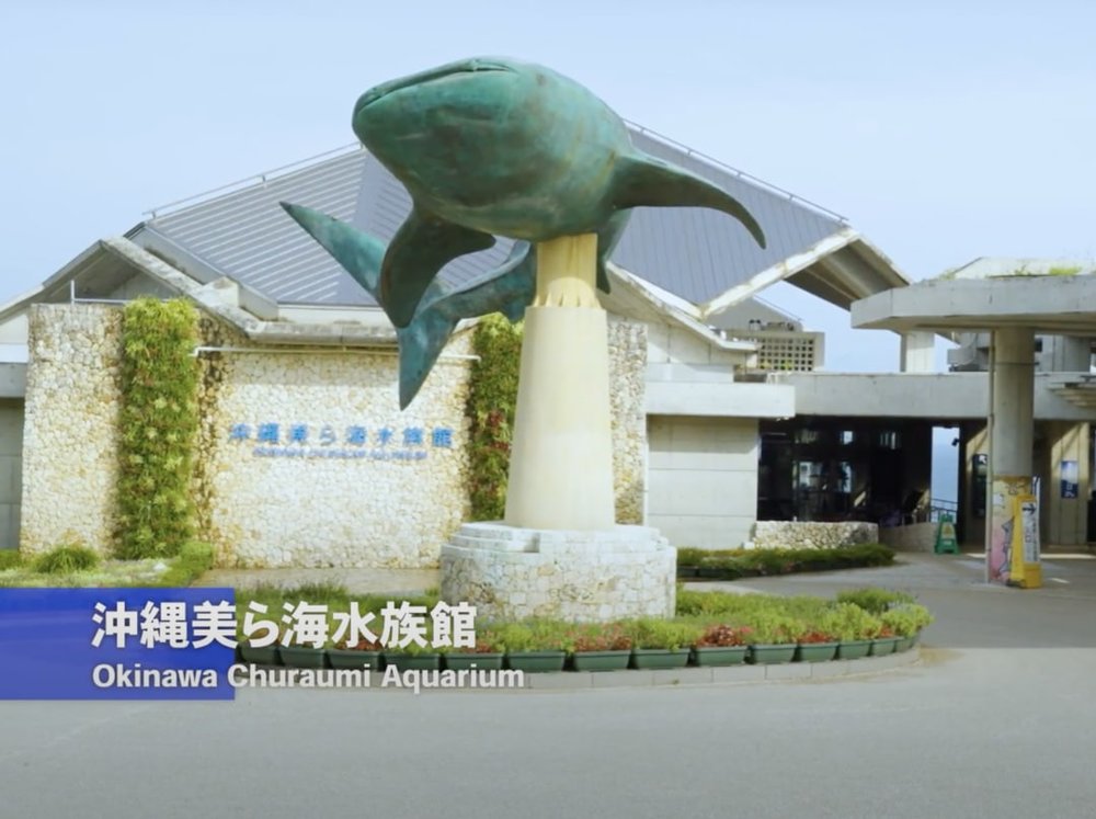 Okirip 美ら海水族館
