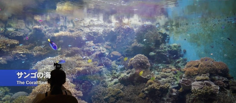 Okirip 美ら海水族館 サンゴの海