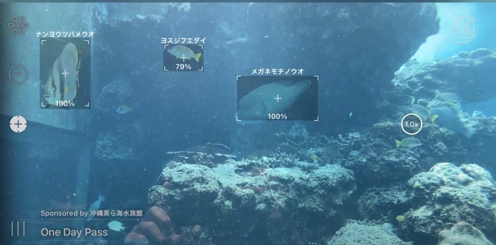 Okirip 美ら海水族館