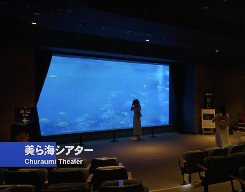 Okirip 美ら海水族館 美ら海シアター