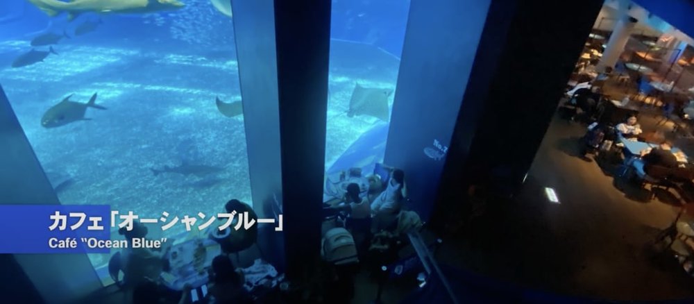 Okirip 美ら海水族館 cafe ocean blue