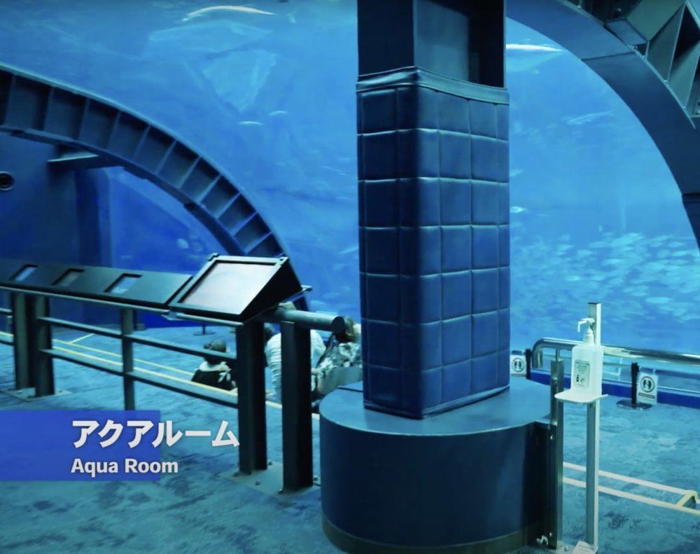 Okirip 美ら海水族館 aqua room