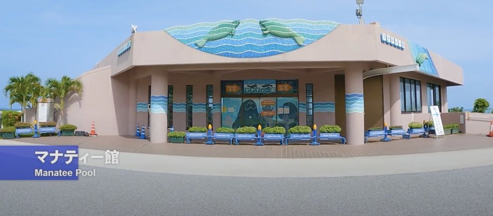 Okirip 美ら海水族館 manatee pool