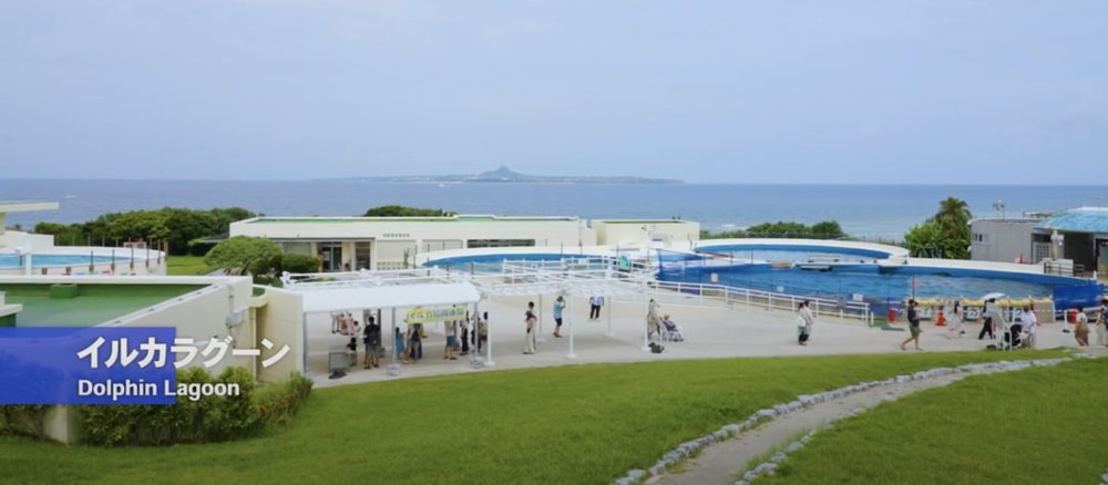 Okirip 美ら海水族館 Dolphin lagoon