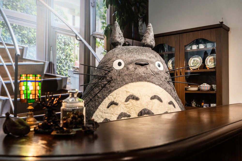 ジブリの大倉庫 totoro