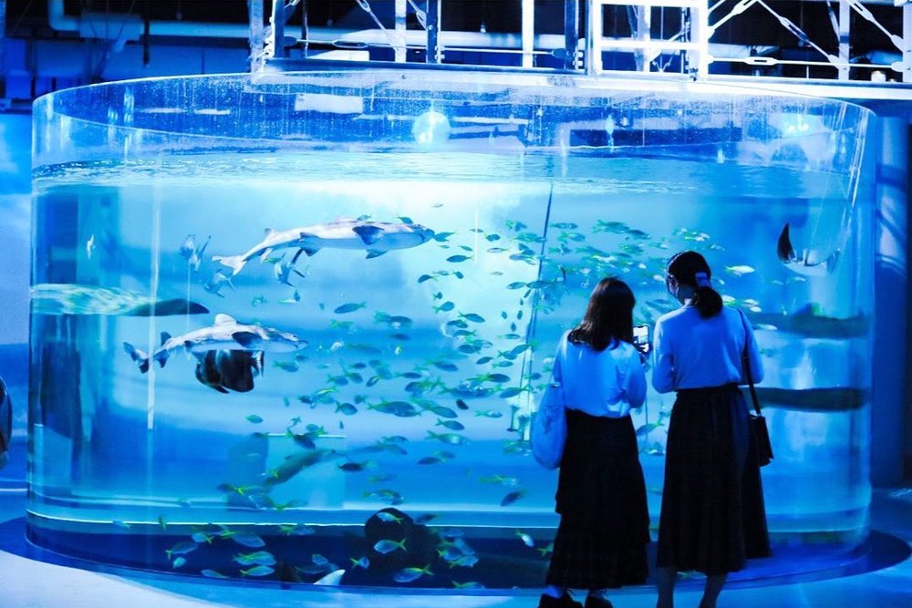 66785 atoa kobe (@myb_129us)