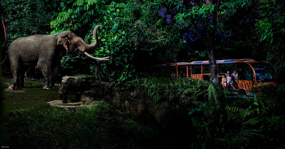 Giới Thiệu Về Night Safari Singapore