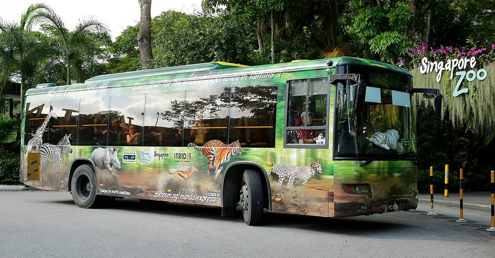 Hướng Dẫn Cách Đi Đến Night Safari Singapore