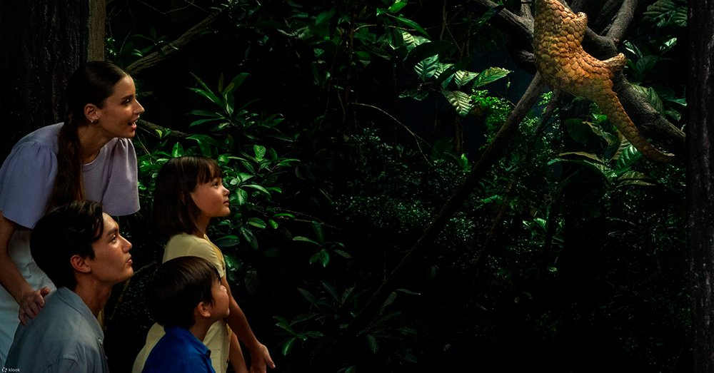 Khám phá các đường mòn đi bộ