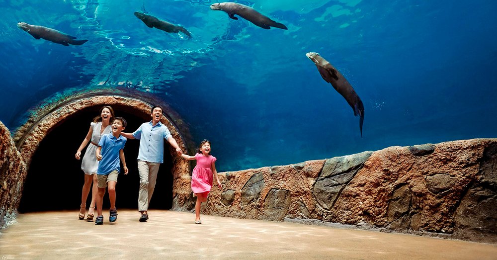 Các Gợi Ý Du Lịch Tương Tự Night Safari Singapore