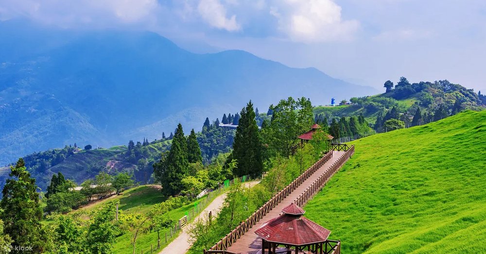 Tour Trang Trại Cingjing Và Nhà Máy Rượu Puli Từ Đài Trung