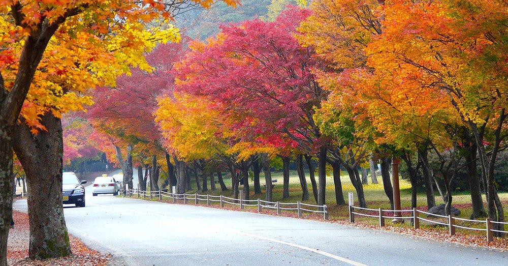 Công Viên Quốc Gia Naejangsan