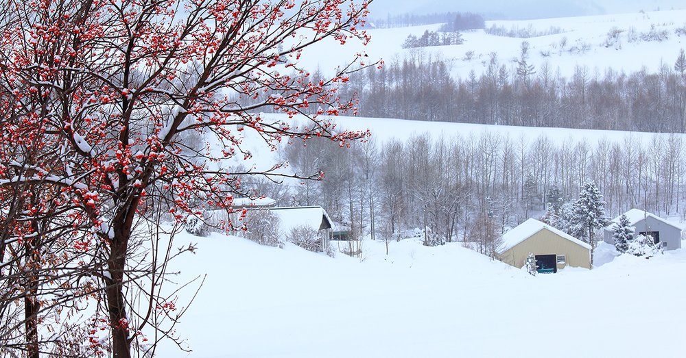 Công Viên Vivaldi Park Snowy Land and Ski