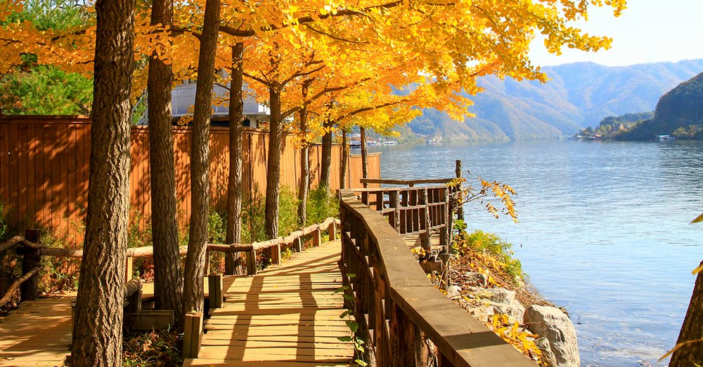 Đảo Nami - Gangwon-do