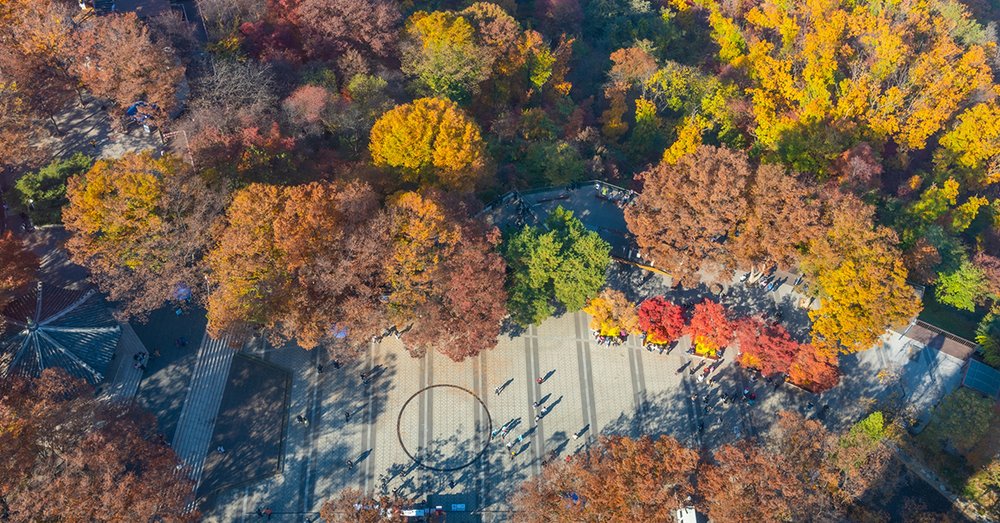 Công Viên Namsan - Seoul
