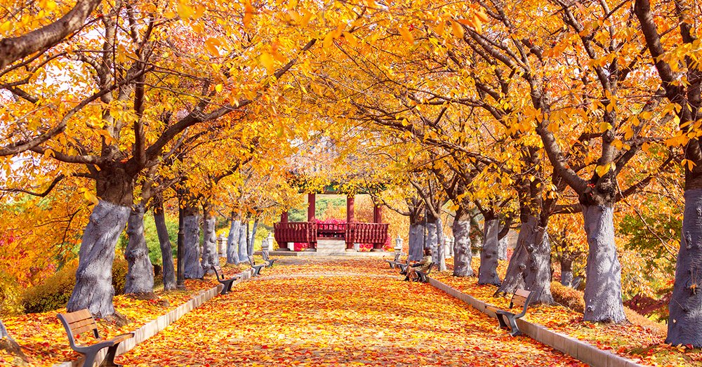 Công Viên Olympic Seoul 