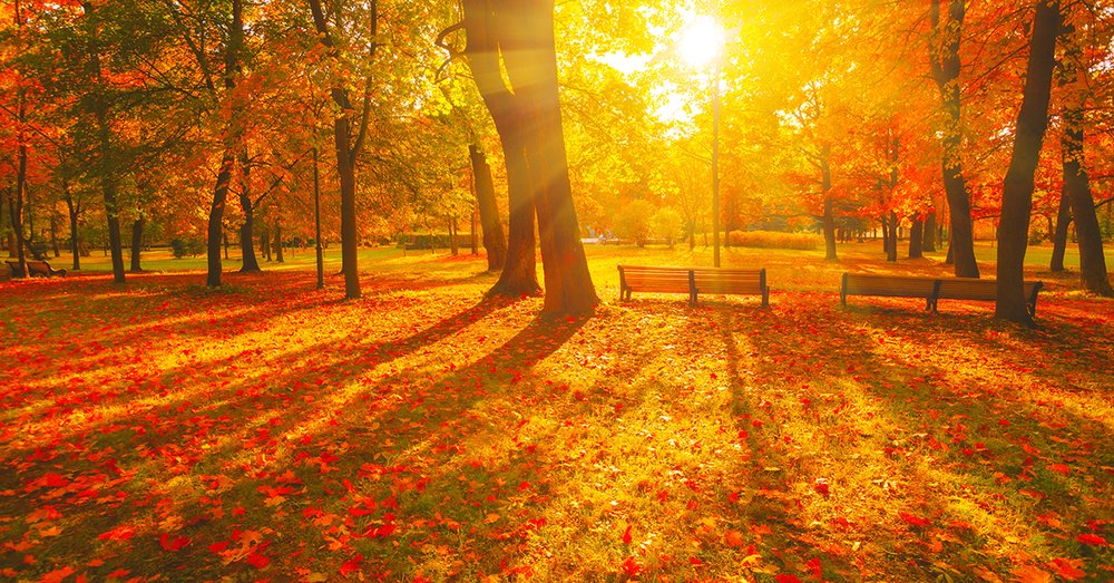 Garden Of Morning Calm - Gyeonggi-do