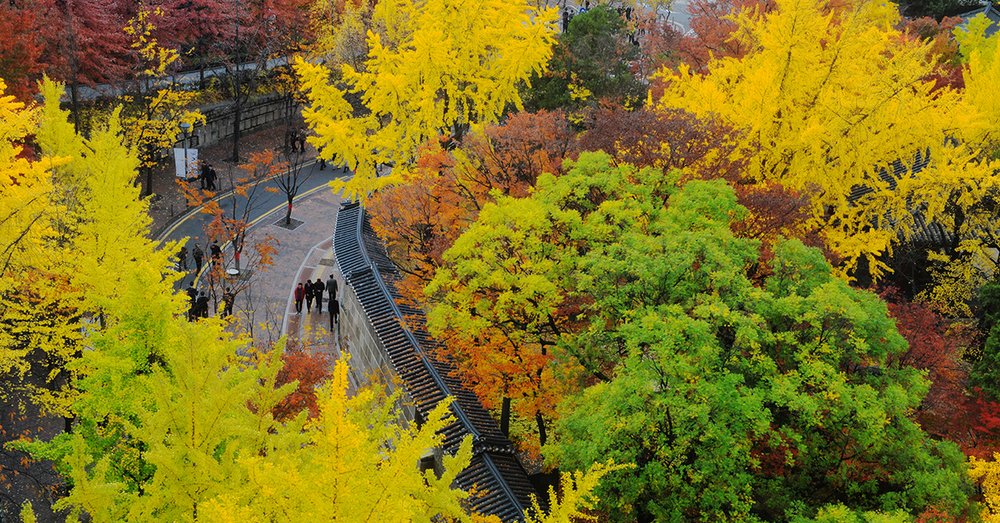 Đường Tường Đá Deoksugung - Seoul