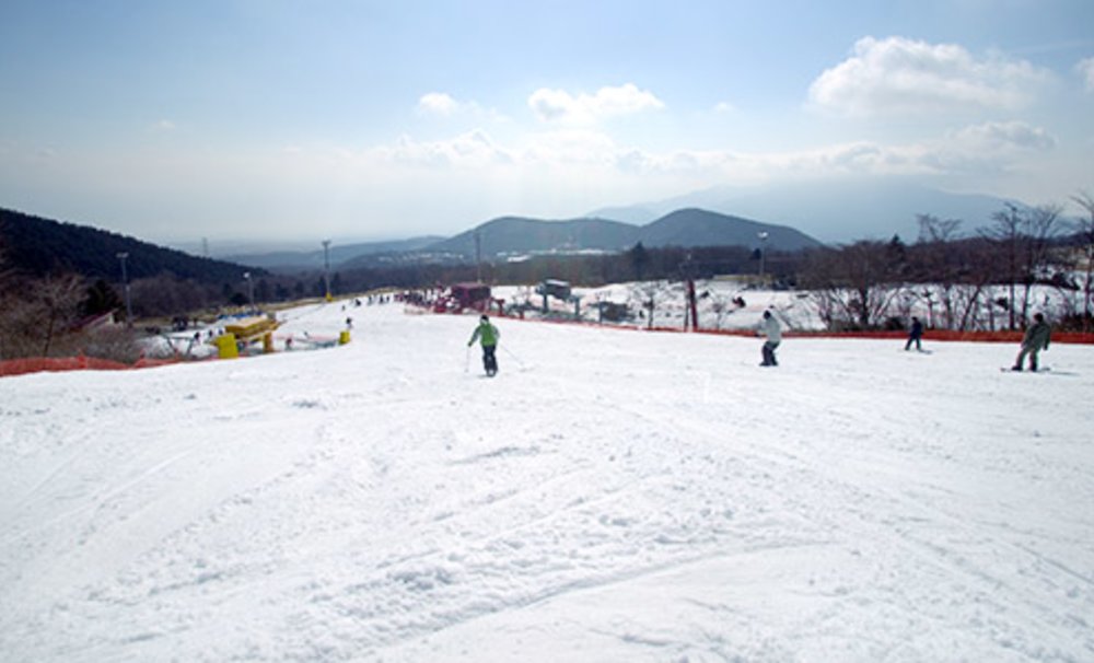 【東京滑雪2022】東京近郊5大滑雪場推介！即日來回／適合新手｜附開放日期＋交通｜輕井澤／新潟