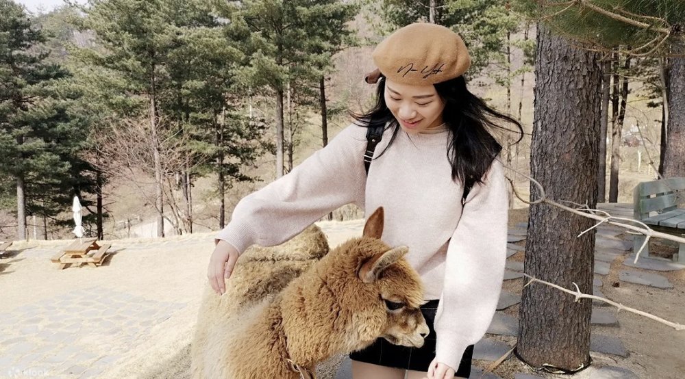 南怡島自由行, 南怡島一日遊推介, 南怡島行程, 南怡島景點, 南怡島交通