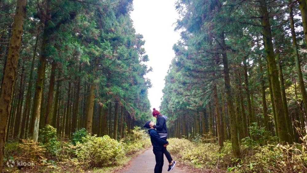 濟州島自由行景點推薦思連伊林蔭道