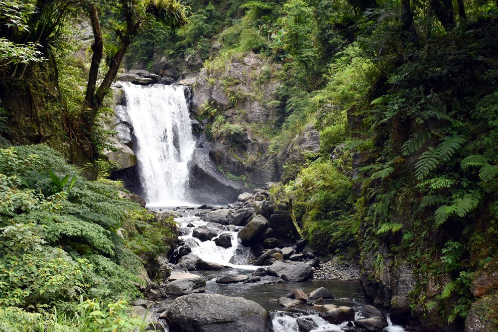 Water falls in between rocks and plants