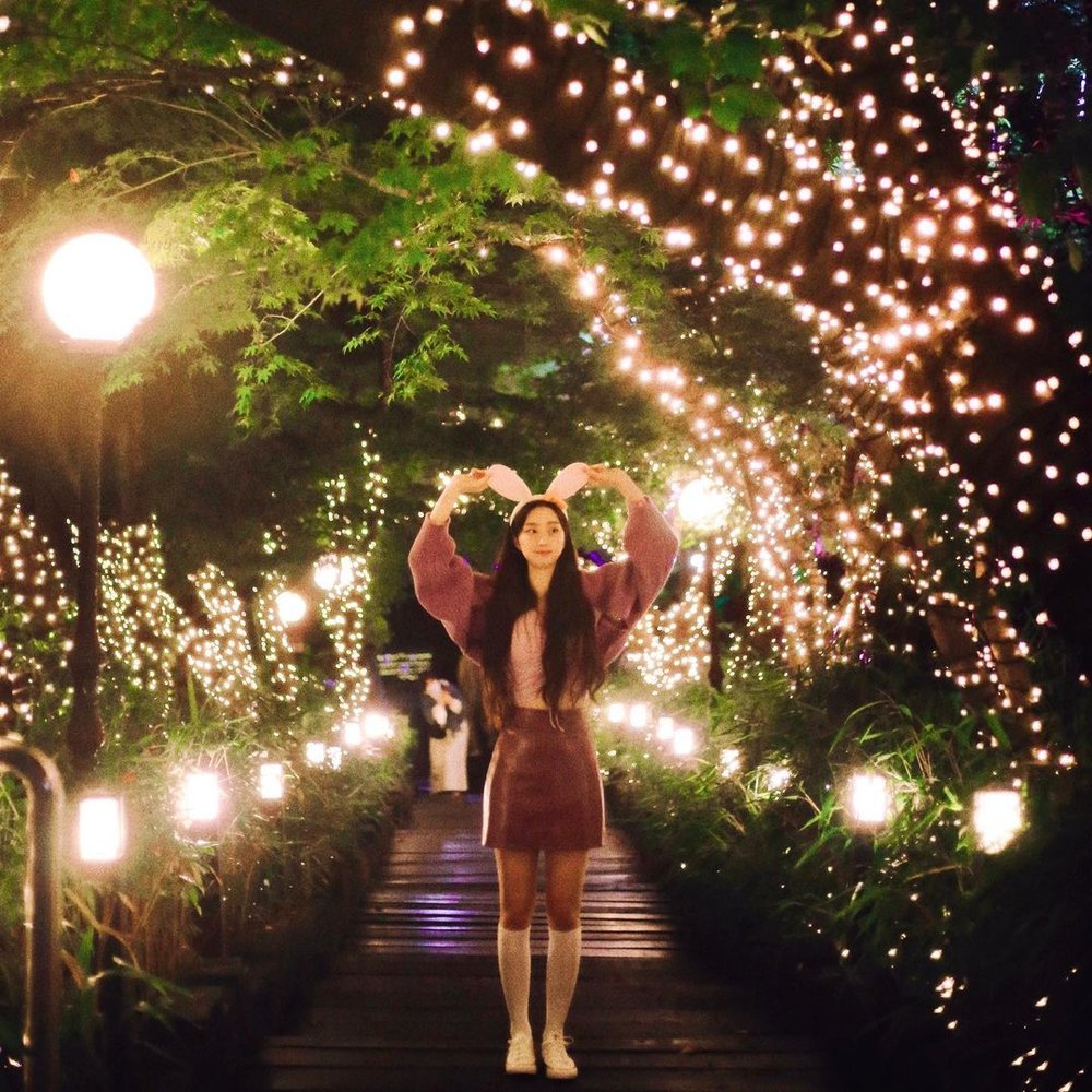 Daegu E World winter lights in South Korea best place to visit in the winter