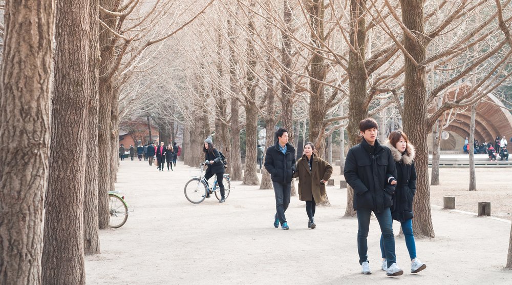 Nami Island, South Korea best winter destination