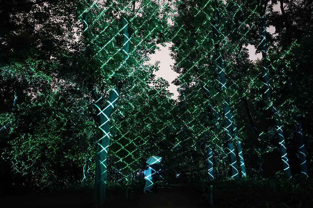 teamLab Botanical Garden Osaka green forest