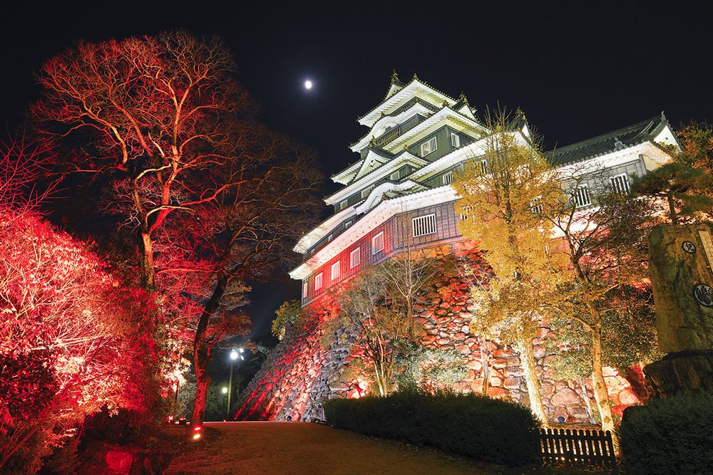 Okayama Castle Night Illumination