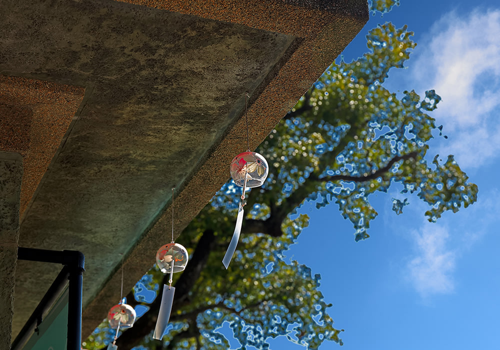 dia-diem-du-lich-dai-nam