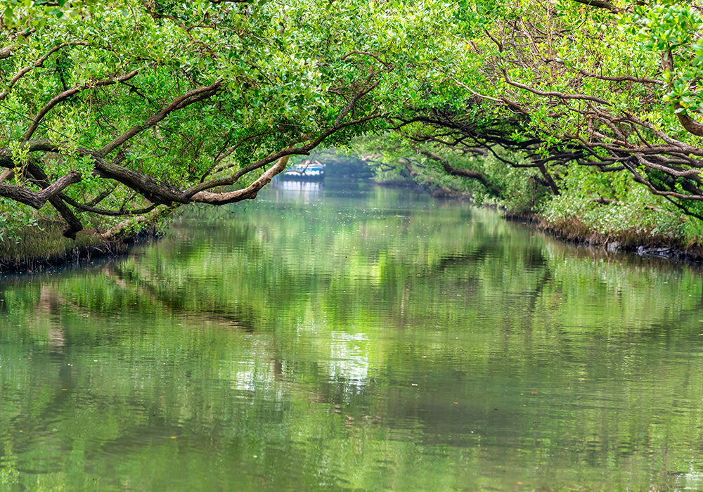 dia-diem-du-lich-dai-nam