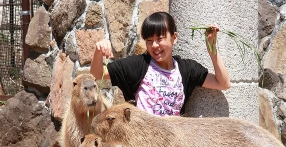 伊豆仙人掌動物園