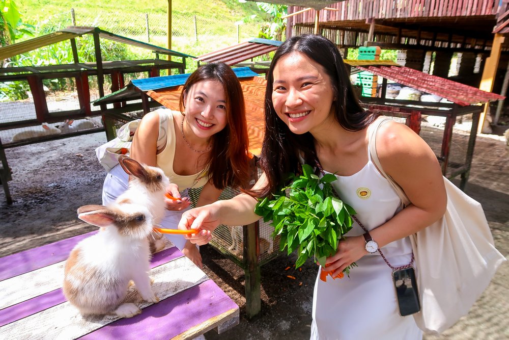 desaru fruit farm petting zoo