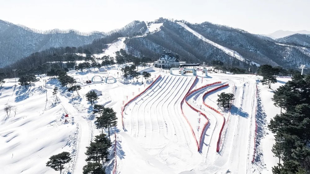 Best Ski Resorts in South Korea for Beginners and Families: Vivaldi ...