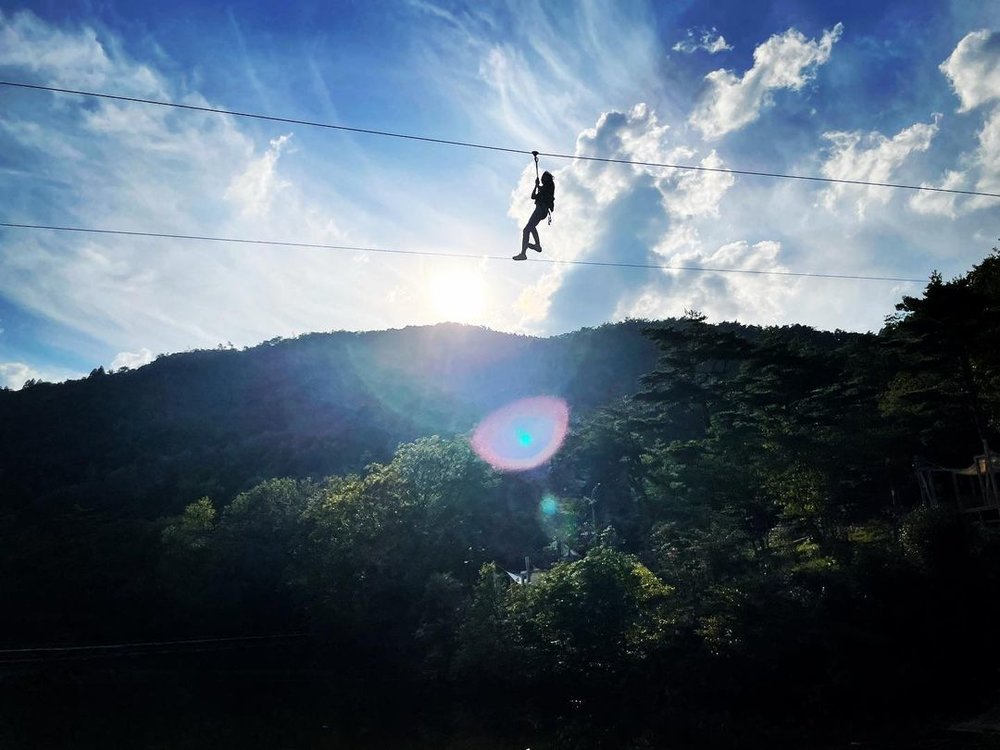 冒険の森 in のせ