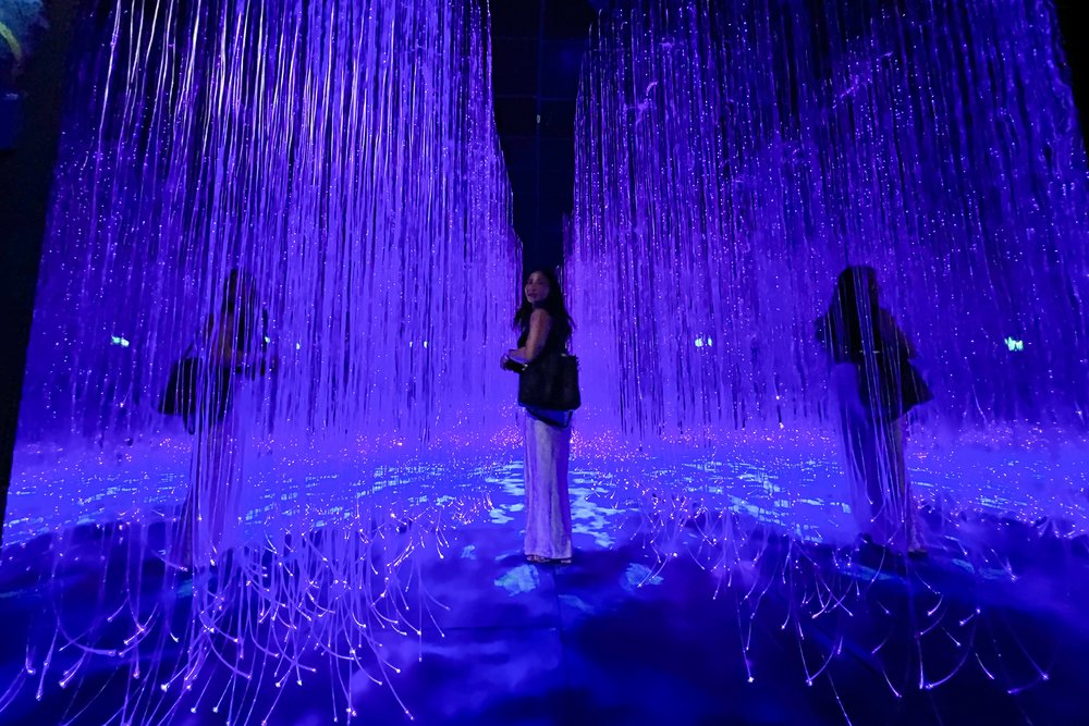 avatar gardens by the bay singapore cloud forest