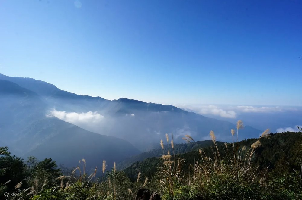 跨年活動：雪霸農場迎曙光