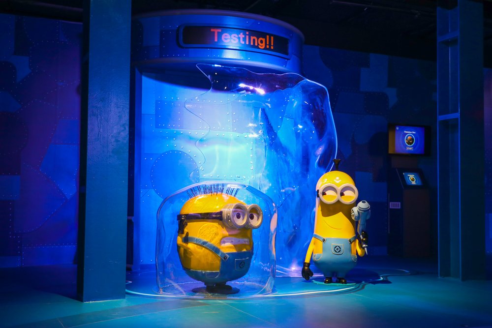  A Minion's Perspective Experience