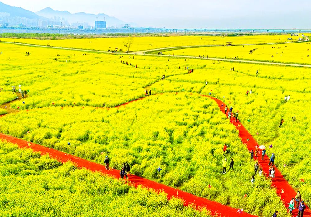 dia-diem-du-lich-busan