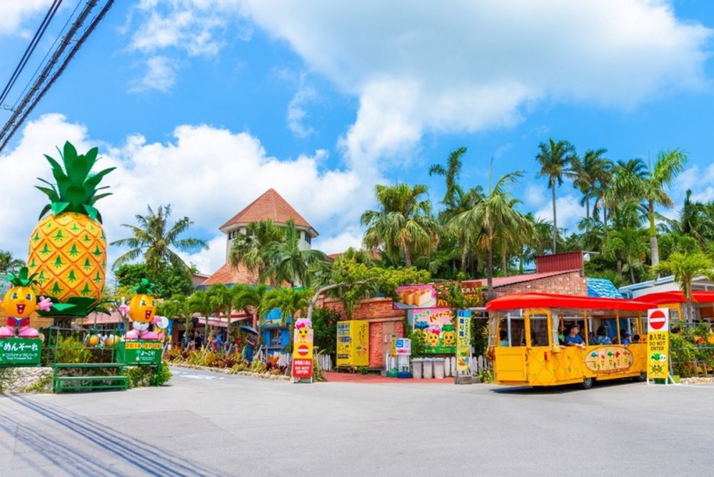 沖繩自駕景點:名護菠蘿園