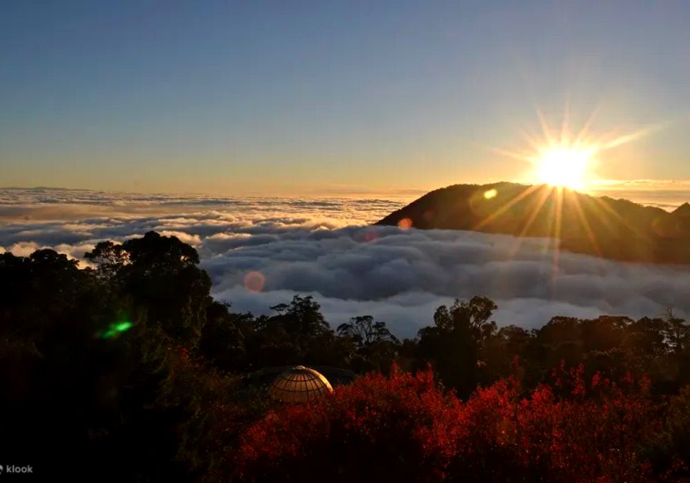 Khu Giải Trí Rừng Quốc Gia Dasyueshan 