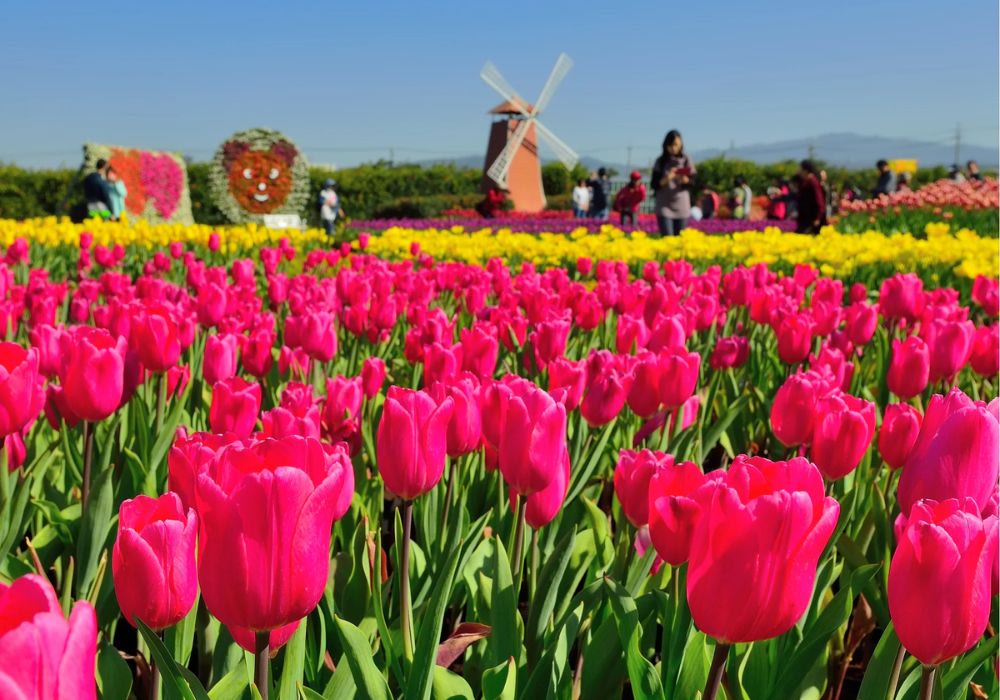 Vườn Hoa Zhongshe