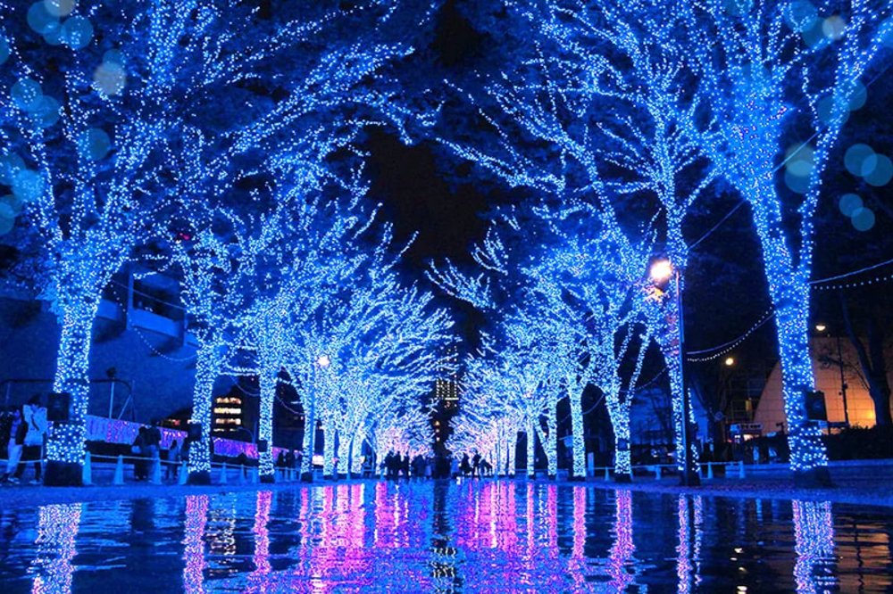 東京聖誕燈飾｜澀谷、原宿、表參道聖誕燈飾