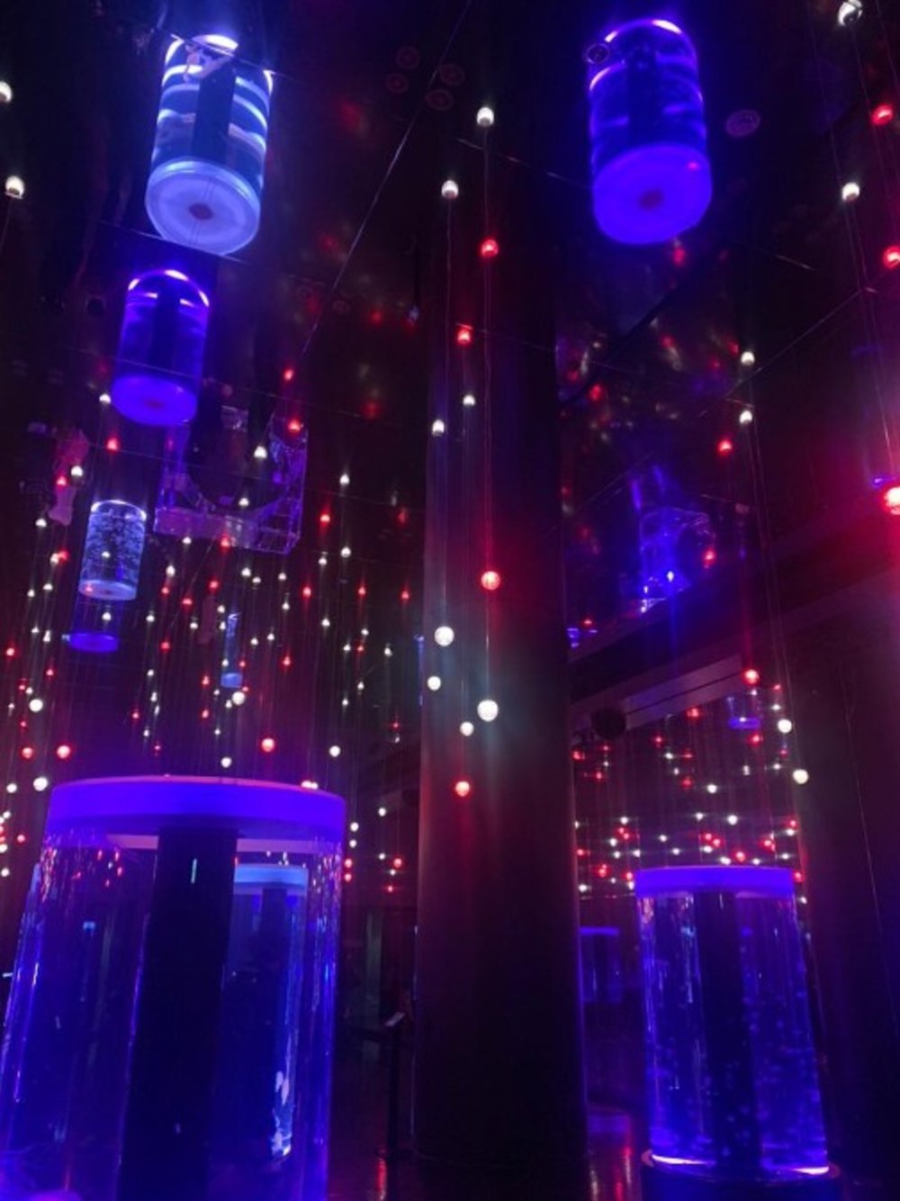 マクセル アクアパーク品川