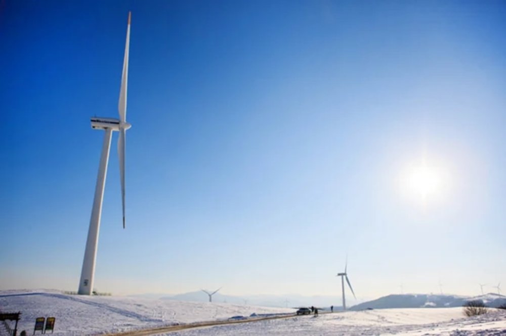 韓國賞雪2022｜10大冬季景點推介！大關嶺三養牧場