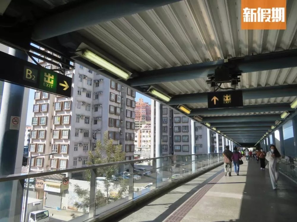 【大棠紅葉2022】賞楓路線推介！最新紅葉指數｜附交通＋周邊活動推介