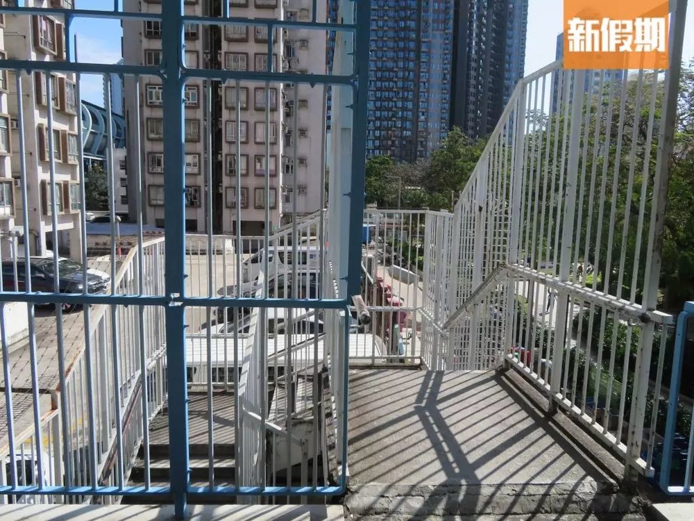 【大棠紅葉2022】賞楓路線推介！最新紅葉指數｜附交通＋周邊活動推介