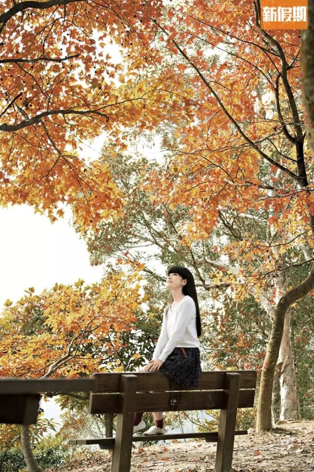 【大棠紅葉2022】賞楓路線推介！最新紅葉指數｜附交通＋周邊活動推介